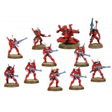 Eldar Guardians